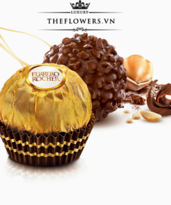 Socola Ferrero Rocher 24 Viên - 240g