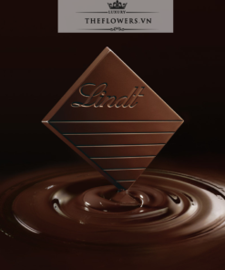 Socola Lindt Excellence 64% Cocoa