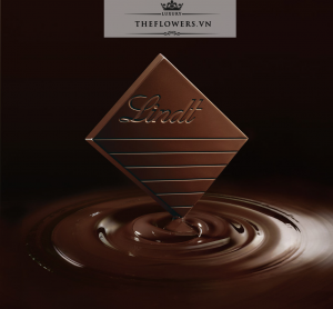 Socola Lindt Excellence 64% Cocoa