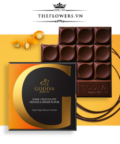 Hop-Socola-Godiva-Dark-Chocolate-Orange-and-Ginger