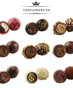 Socola-Godiva-Signature-Chocolate-Truffles-hop-12-vien-nuoc-Bi