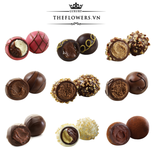 Socola-Godiva-Signature-Chocolate-Truffles-hop-12-vien-nuoc-Bi