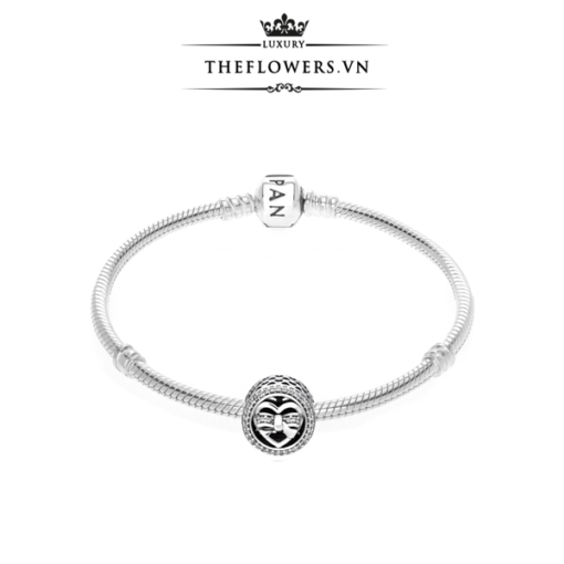 charm-pandora-loving-ties